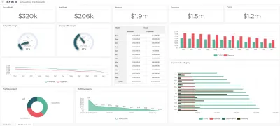 Profit and loss dashboard example for accounting dashboard types blog-banner