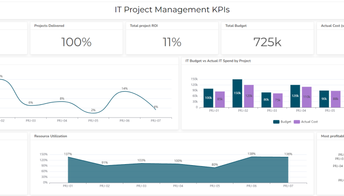 IT project management dashboard example from Ajelix BI