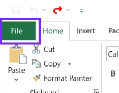 file tab screenshot from excel