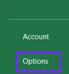 Option field screenshot from excel