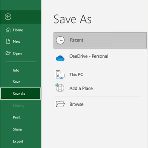 Screenshot from Excel - save as