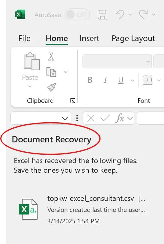 Screenshot of Document Recovery Pane in Microsoft Excel