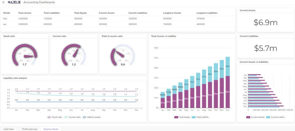 Balance sheet dashboard example for accountants screenshot from data visualization tool