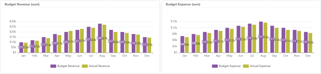 Budgeted cashflow vs actual comparison chart