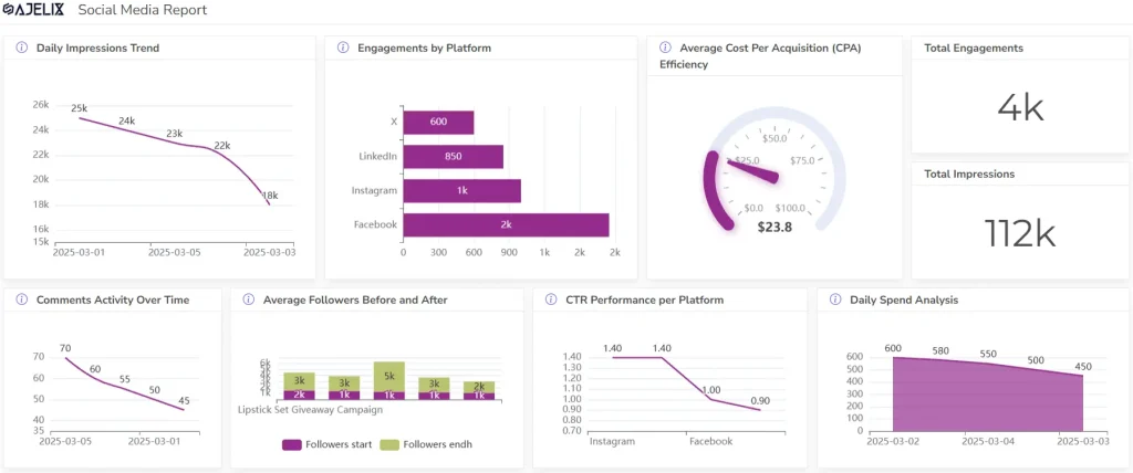 social media marketing report from ajelix bi