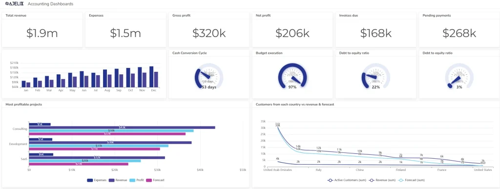 Accounting Data Report Made In Ajelix BI Platform