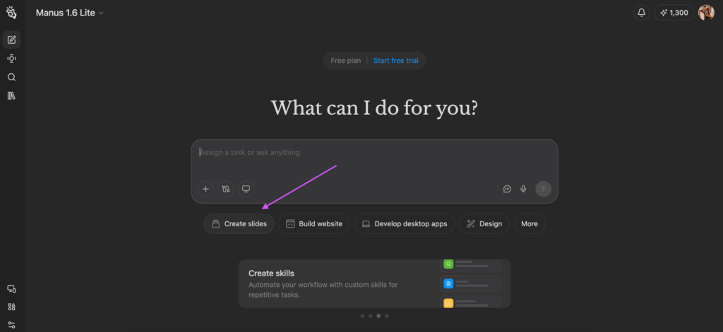 Screenshot: Manus' Setup
